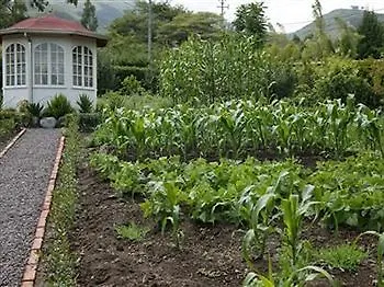 Hotel Bed And Breakfast Tumbaco Quito